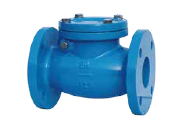 125LB Swing Check Valve Flange Type