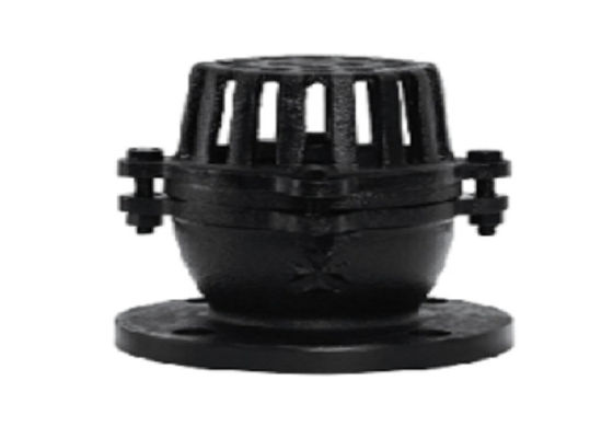 Rustproof Cast Iron Foot Valve , Anti Oxidation 10K Foot Valve Flange Type