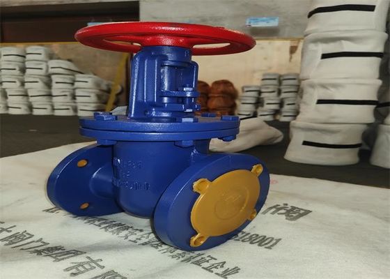 Rising Stem Gate Valve Flange Type Dn40 Gb12234 Standard