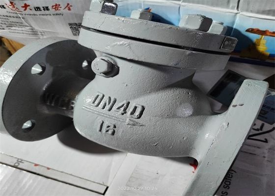 GB Standard Carbon Steel Body Flanged Swing Check Valve Size 80mm