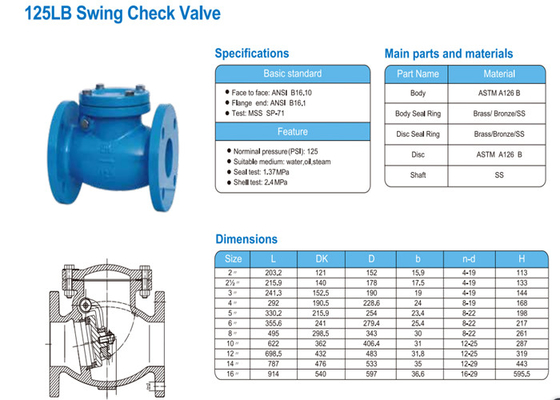 125LB Swing Check Valve Flange Type