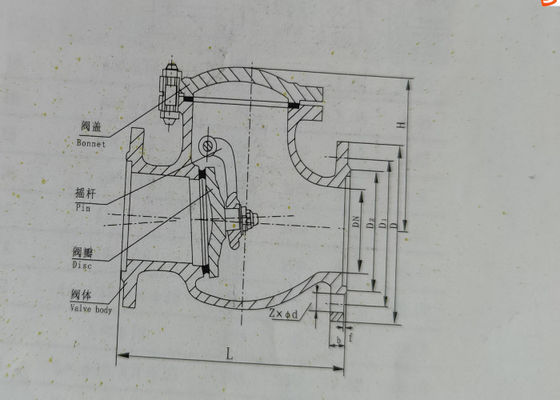 Stainless Steel Flanged Swing Check Valve Material Nitric Acid 1.6/2.5/4.0Mpa