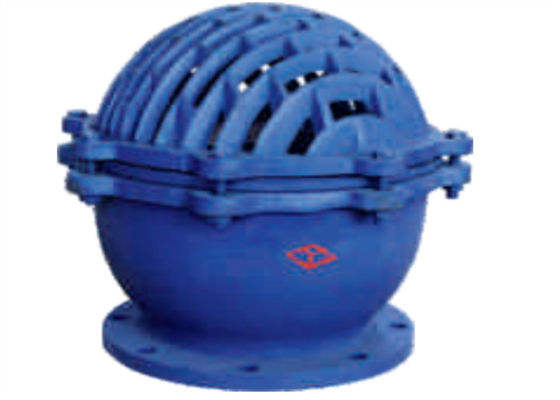 Lifting Bottom Swing Check Valve Flange Type Cast Iron 2.5 Mpa DN50~DN350